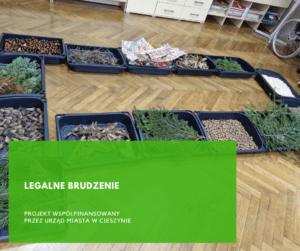 Read more about the article Legalne brudzenie
