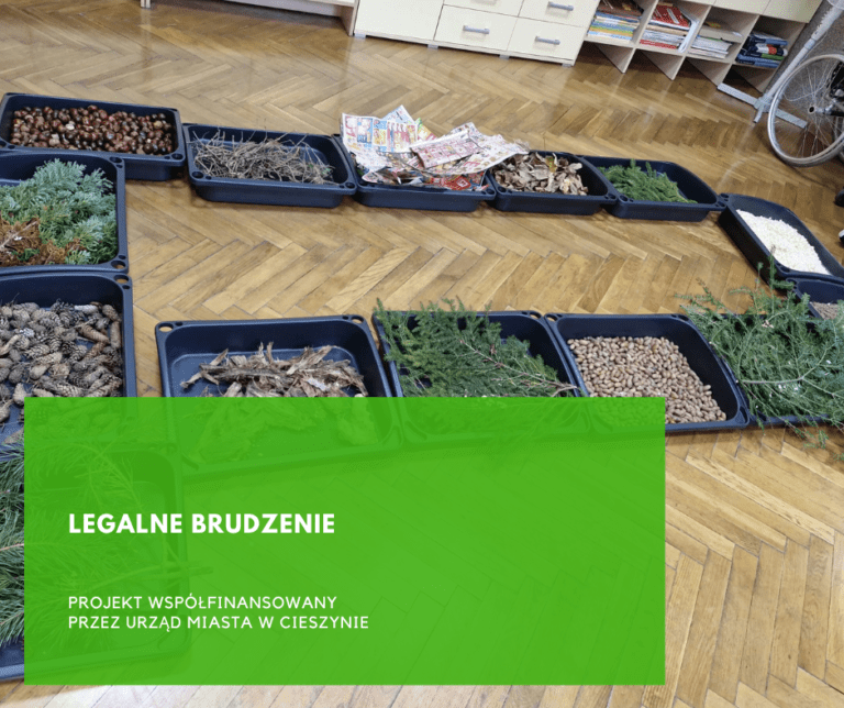 Read more about the article Legalne brudzenie